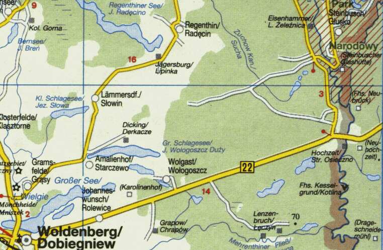 woldenberg - steinbusch.jpg